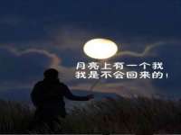 苏州恩路贸易有限公司