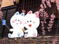 苏州恩路贸易有限公司
