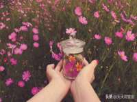 苏州恩路贸易有限公司