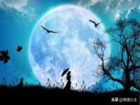 苏州恩路贸易有限公司