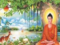 苏州恩路贸易有限公司