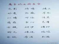 苏州恩路贸易有限公司