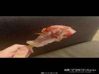 苏州恩路贸易有限公司